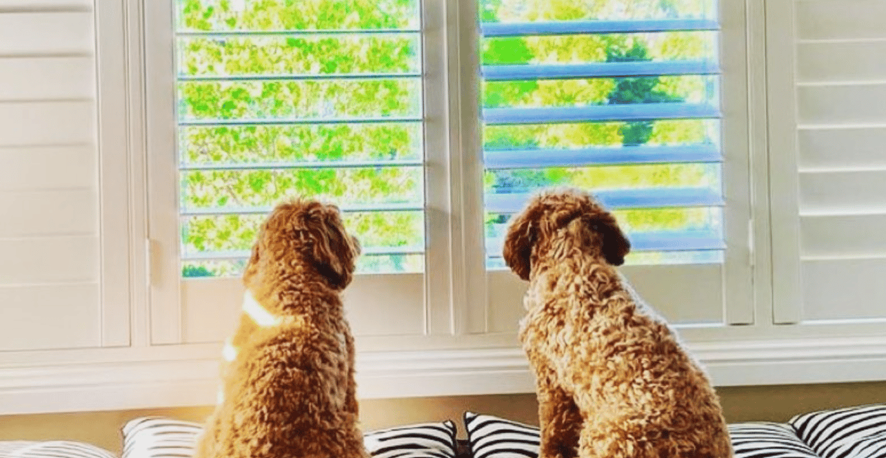 Window Safety Month: Tips For Keeping Your Family Safe